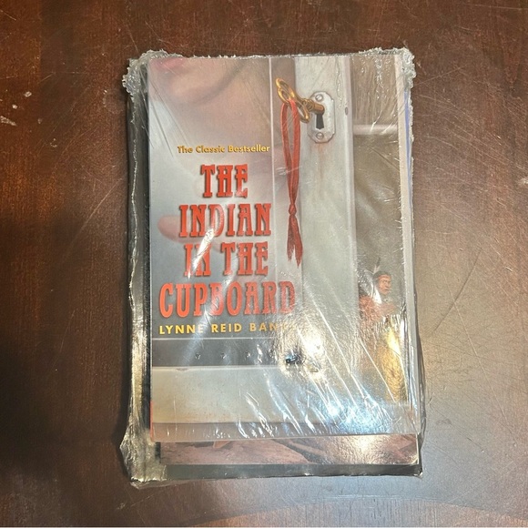 3 Book Lot Set Indian in the Cupboard, Secret Garden, Island Of Blue Dolphins - Picture 2 of 4